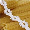 Order Chantilly Cotton Lace - Hortensia Cream